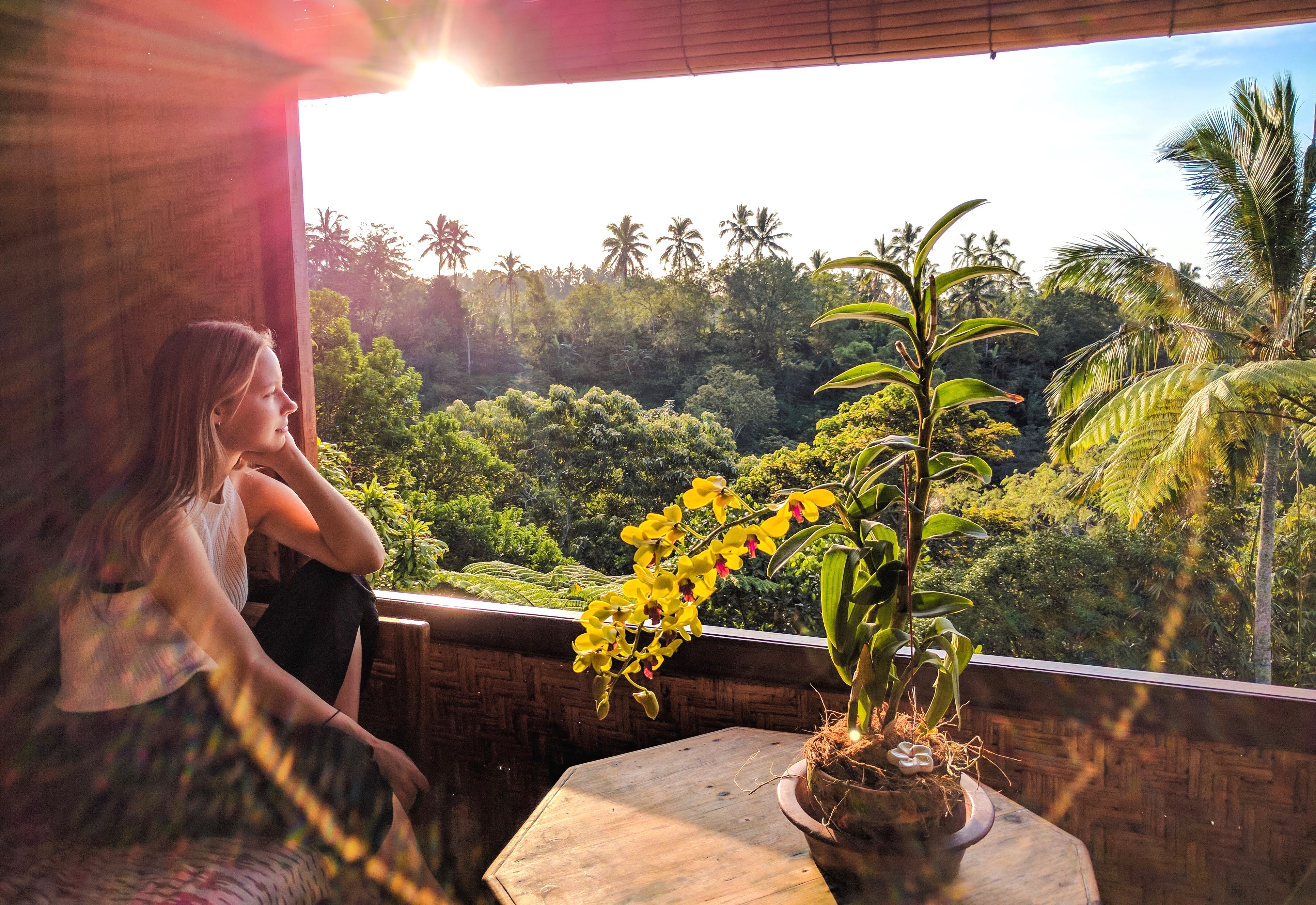 Contemplate, Meditate, Relax