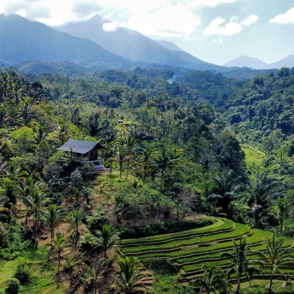 Rimbah house near Sarinbuana Eco Lodge
