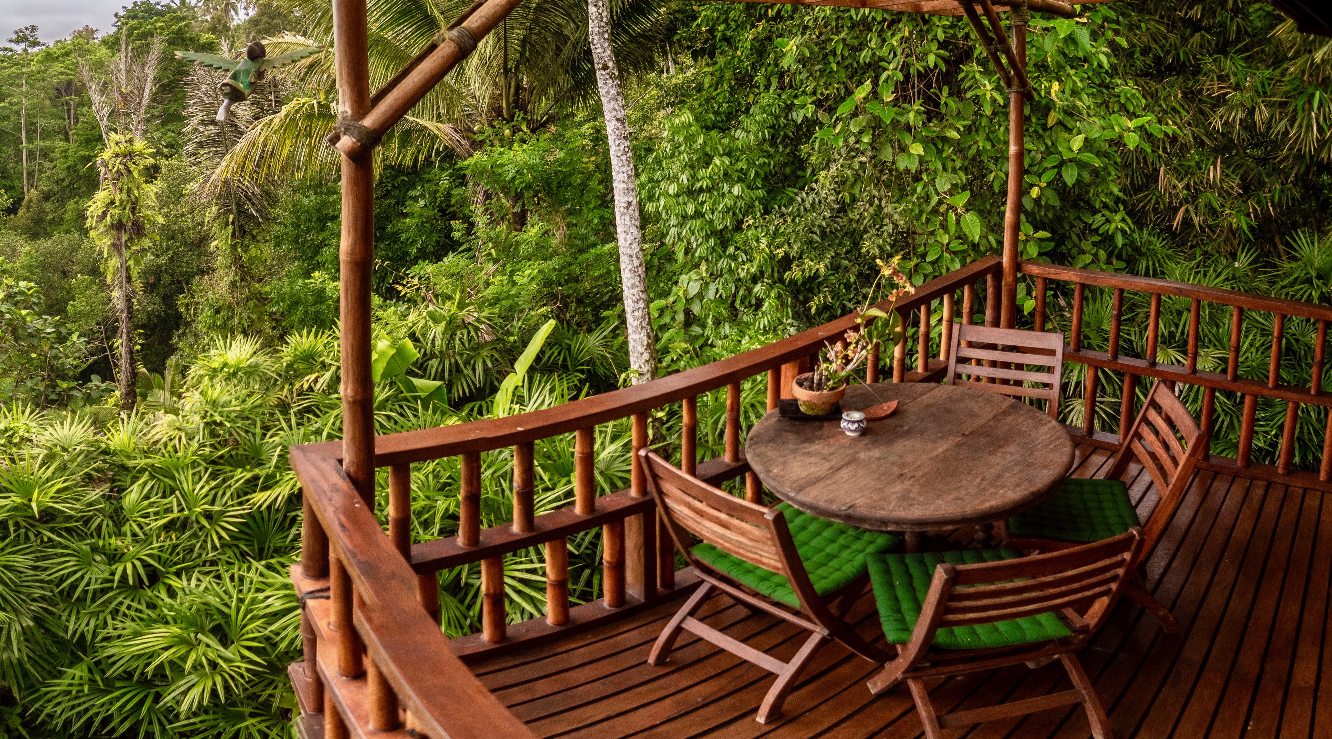 Nature all Around You