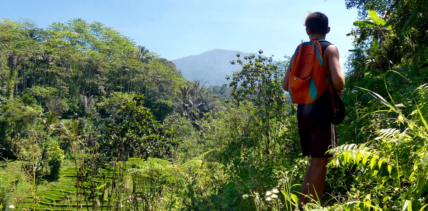 Lose Yourself in Nature & Fertility