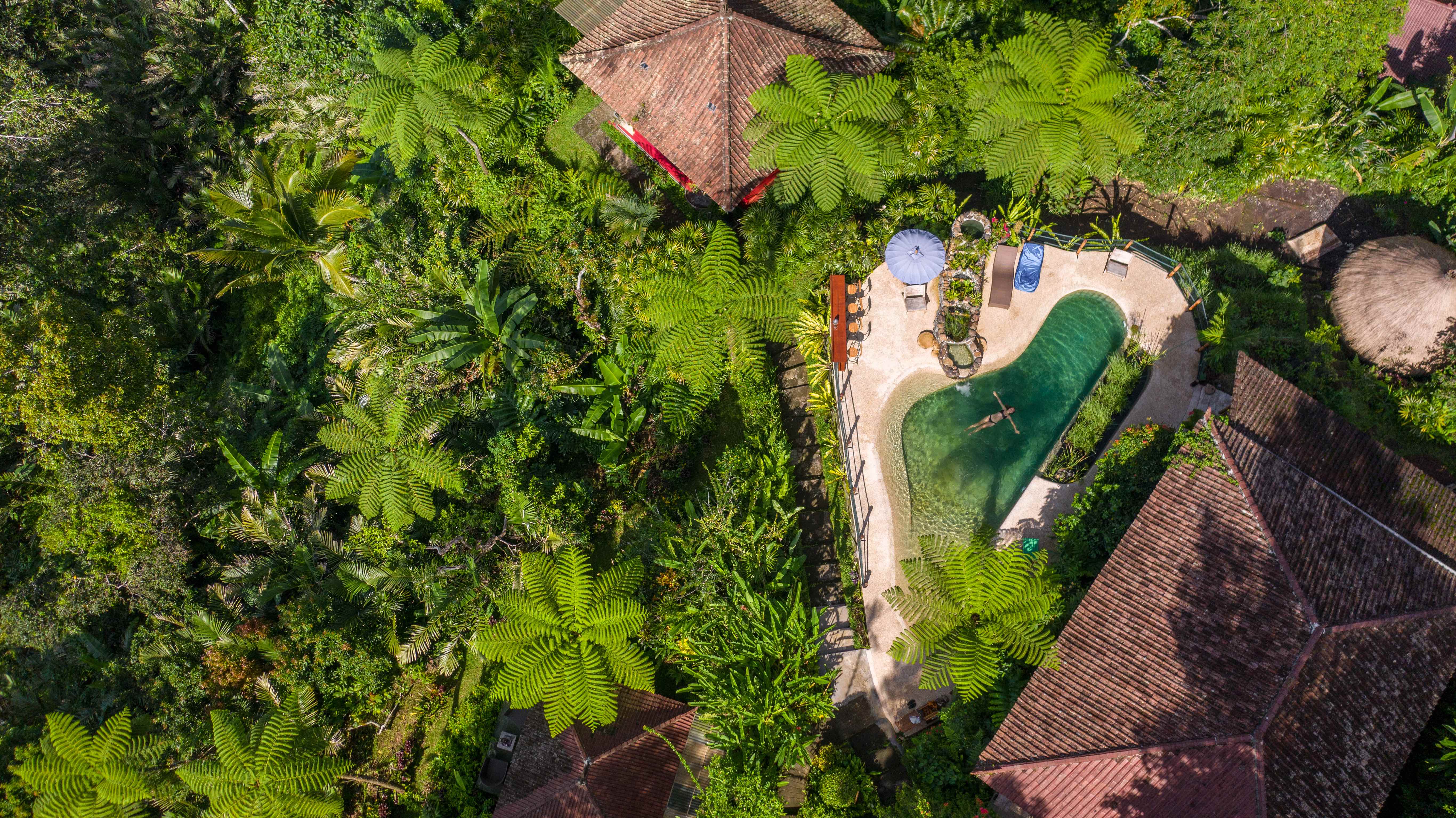 Bliss out in our Living Water, Chemical-Free Swimming Pool