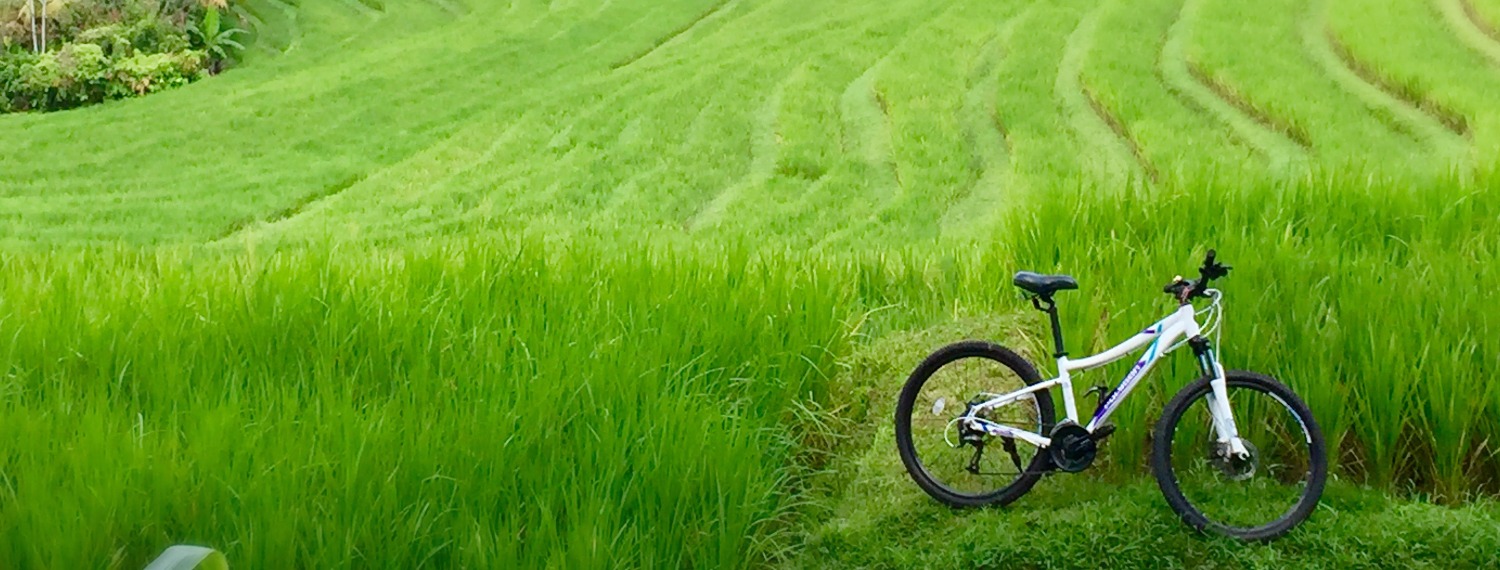 Mountain Bike Downhill Gorgeous Scenery Mountains to the Sea