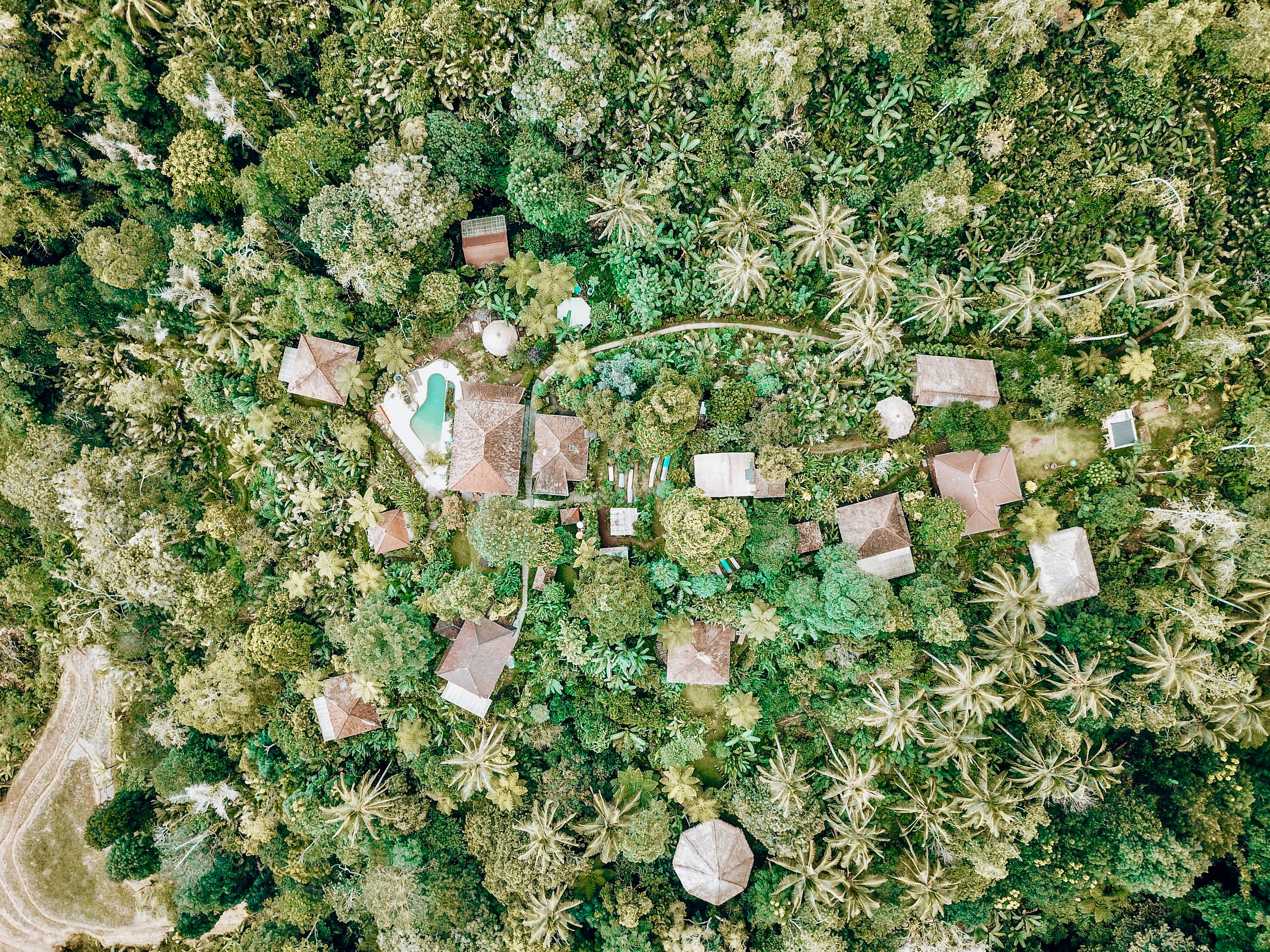 This is Sarinbuana Eco Lodge