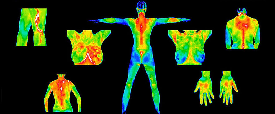 thermography.jpeg