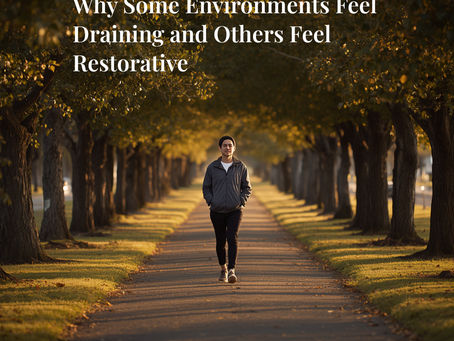Person walking along a tree-lined path at golden hour, illustrating how environment influences stress, recovery, and nervous system health.