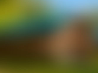 Rising Costs, Shrinking Coverage for Camps