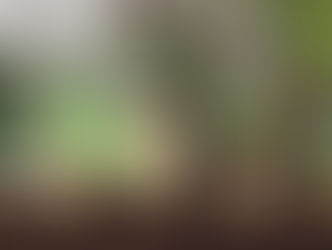 Financial Well-Being as Faithful Stewardship: Why Clergy Need Saving Grace