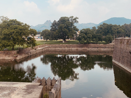 Part Three: the Hart Family