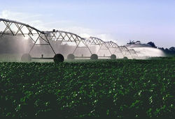 Agricultural Investments 1