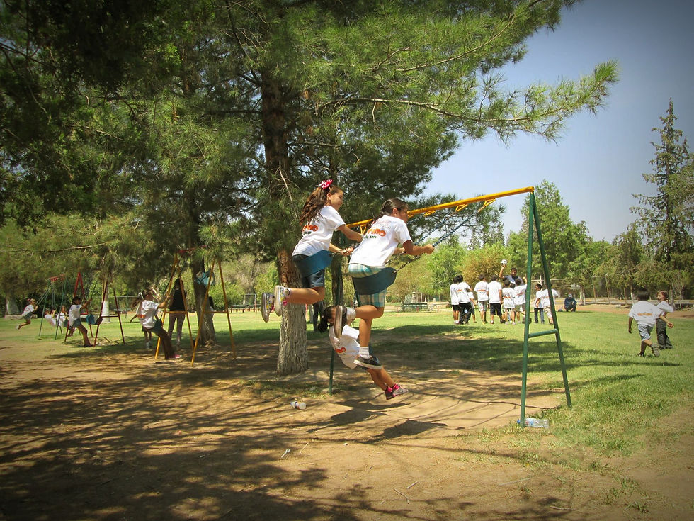 CAMPAMENTO DE VERANO EN EL MUSEO