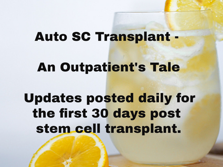 Stem Cell Transplant Daily Updates