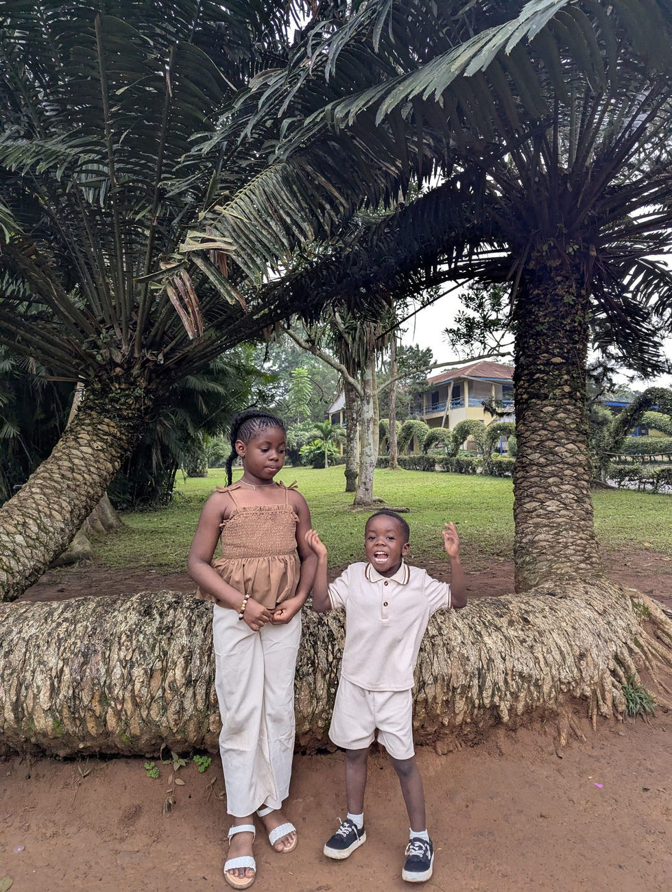 Visitors beneath the twin palm tree near Boti Falls