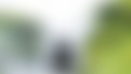 Les 3 niveaux de la responsabilité d'entreprise