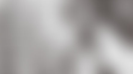 L'entreprise alerte et (dé)mesurée [La Revue 19]