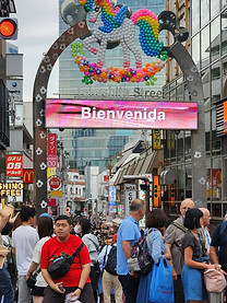 Japón + Corea del Sur