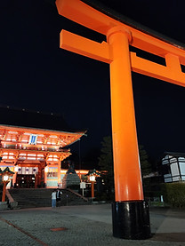 Japón + Corea del Sur