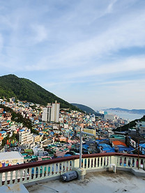 Japón + Corea del Sur