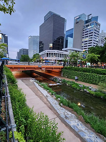 Japón + Corea del Sur