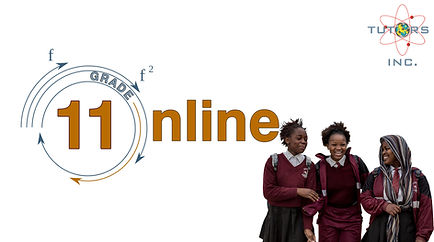Grade 11 Grouped Online Math Lessons