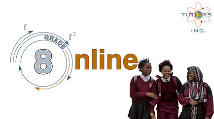 Grade 8 Grouped Online Math Lessons