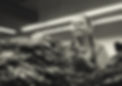 Screenshot-2024-02-12-at-9.08.14 AM.jpg