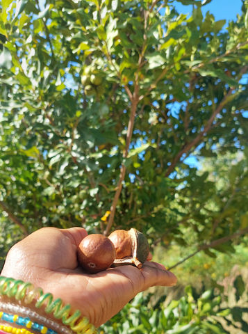 20220730_085140 (1).jpg