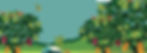 Screen Shot 2020-12-03 at 12.17.52 PM co
