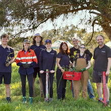 Team Perspektiv at the Trillion Trees' planting day