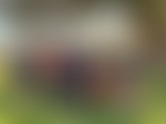 Team Perspektiv at the Trillion Trees' planting day