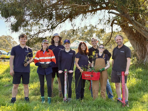 Team Perspektiv at the Trillion Trees' planting day