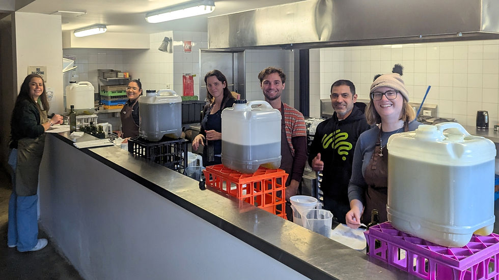 Perspektiv team bottling and labeling olive oil