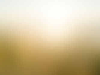 Sunrise over a beach in Queensland