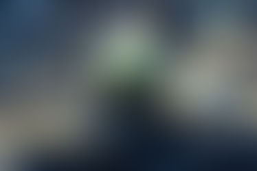 A plant growing in a light bulb