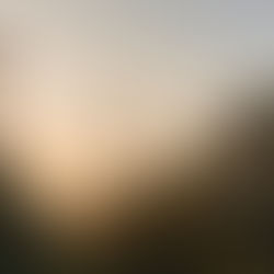 Wonthaggi, Victoria, Australia, Landscape with Wind Turbines at Dawn