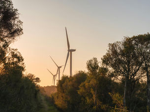 Wonthaggi, Victoria, Australia, Landscape with Wind Turbines at Dawn