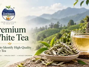 premium tea