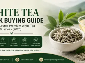 White Tea Bulk Buying Guide: How to Source Premium White Tea for Your Business (2026)