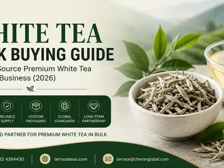 White Tea Bulk Buying Guide: How to Source Premium White Tea for Your Business (2026)