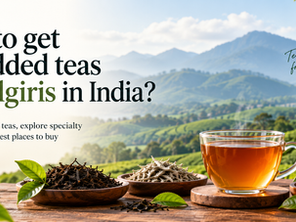 Nilgiri tea gardens with premium value-added teas in India