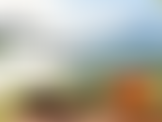 Nilgiri tea gardens with premium value-added teas in India