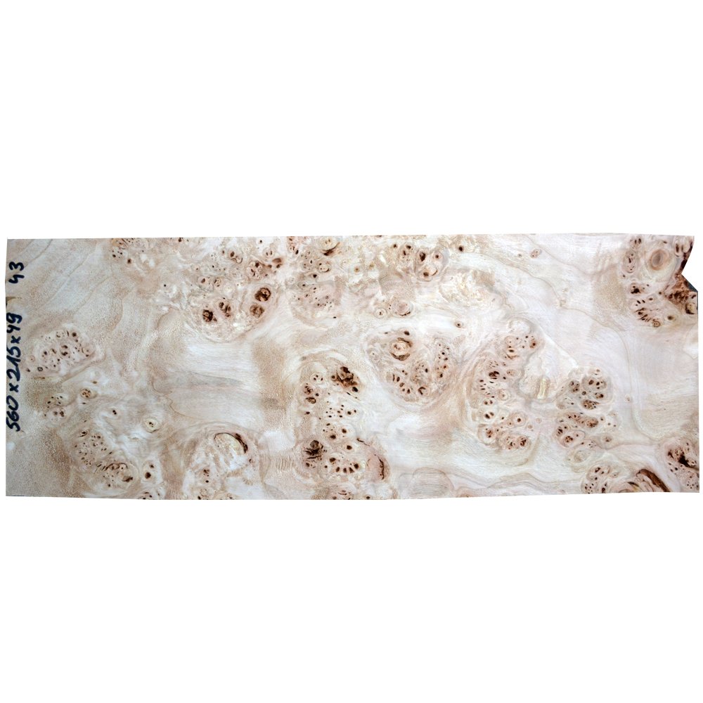 Burl Poplar | Guitar top No.43