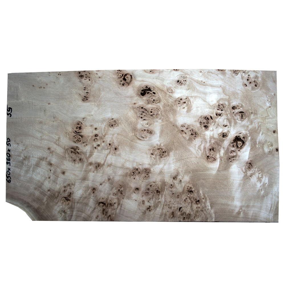 Burl Poplar | Guitar top No.55