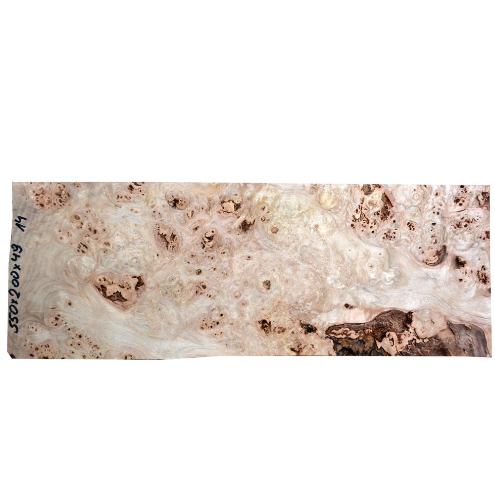 Burl Poplar | Guitar top No.14