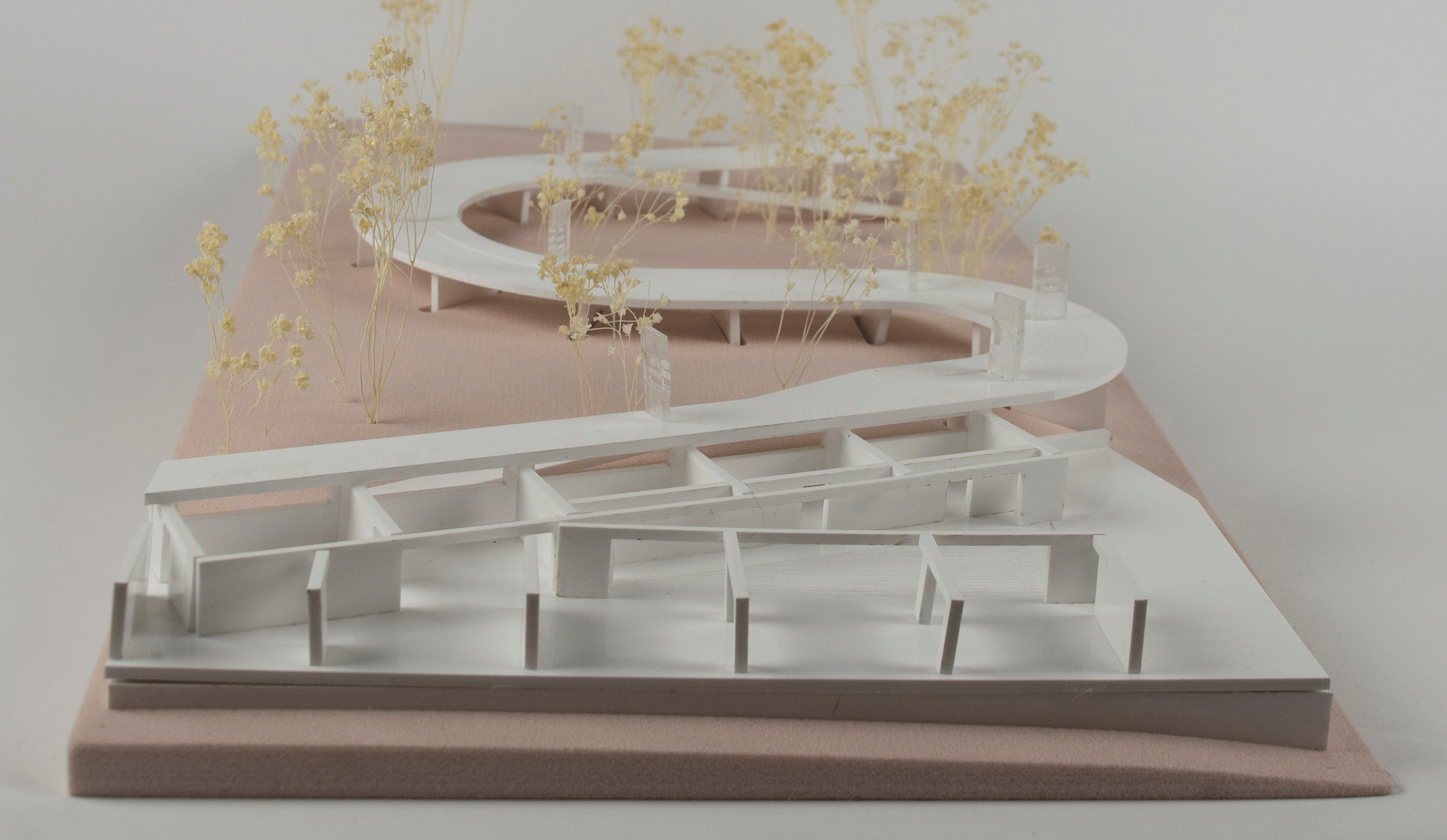 model.gif