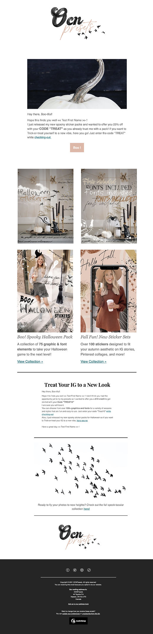 Amira Newsletters 1-01.jpg