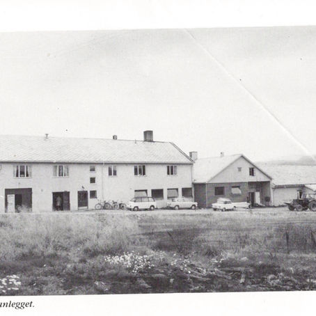 Salgslaget var stort på Fauske, eksisterte fra 1948 til 1995