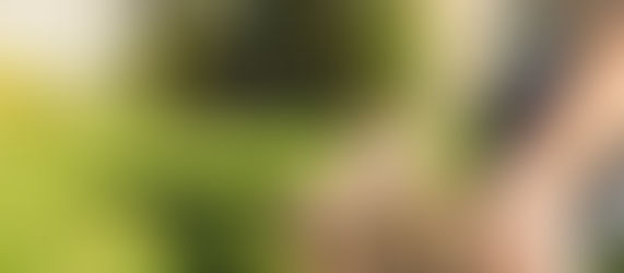 Tips To Choose A Quality Landscape Gardener