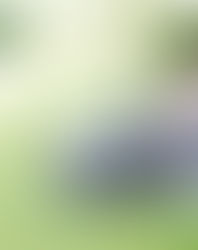 Robot Lawn Mower Australia