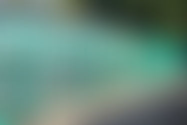 What to Expect from Top-Quality Dog Boarding Kennels