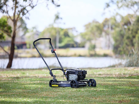Masport Lawn Mowers for Sale